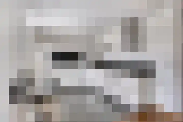 Marter 15 Veldhoven thumbnail 13
