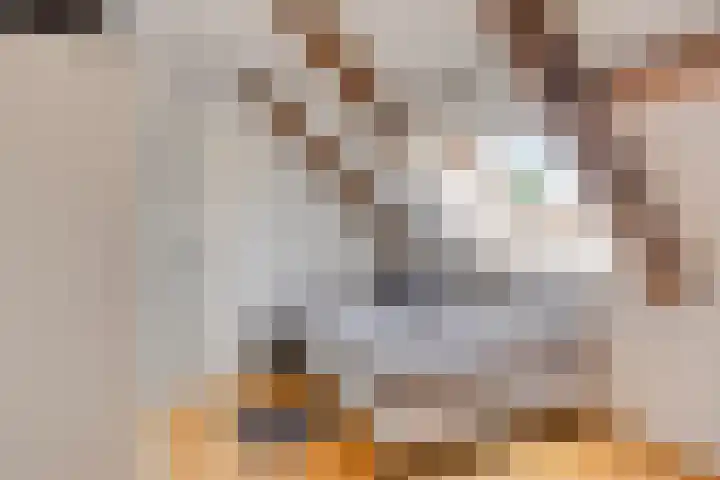 Marter 15 Veldhoven thumbnail 25