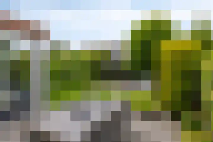 Marter 15 Veldhoven thumbnail 29