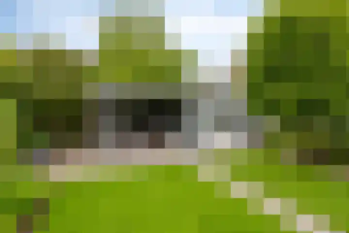 Marter 15 Veldhoven thumbnail 30