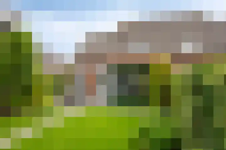 Marter 15 Veldhoven thumbnail 31