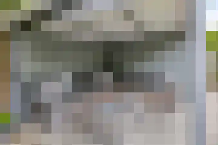 Marter 15 Veldhoven thumbnail 32