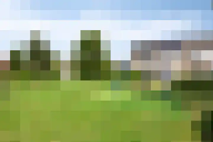 Marter 15 Veldhoven thumbnail 36