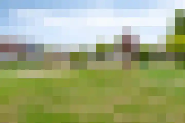 Marter 15 Veldhoven thumbnail 37