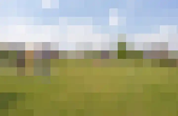 Marter 15 Veldhoven thumbnail 38