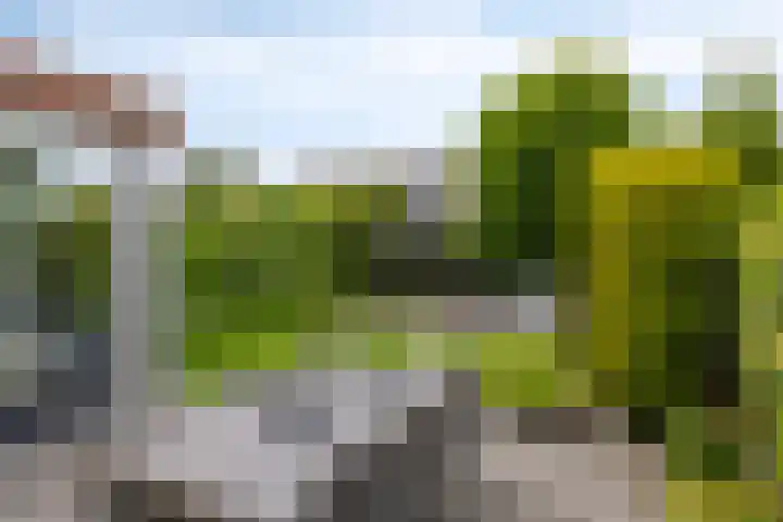 Marter 15 Veldhoven thumbnail 4