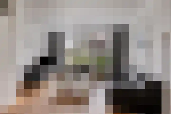 Marter 15 Veldhoven thumbnail 6