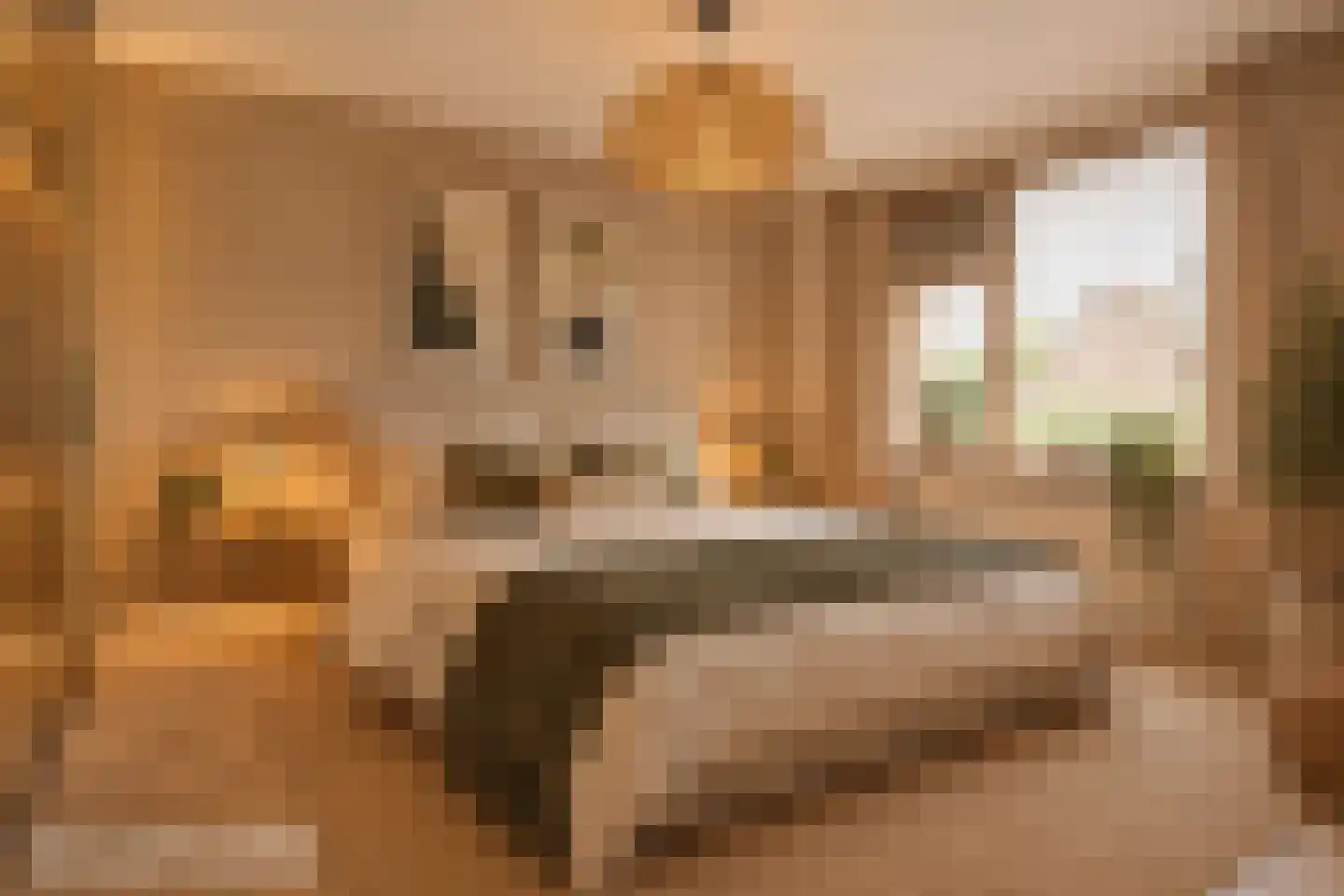 Marter 2 Huizen thumbnail 12