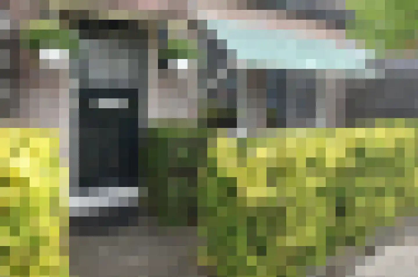 Marter 2 Huizen thumbnail 20