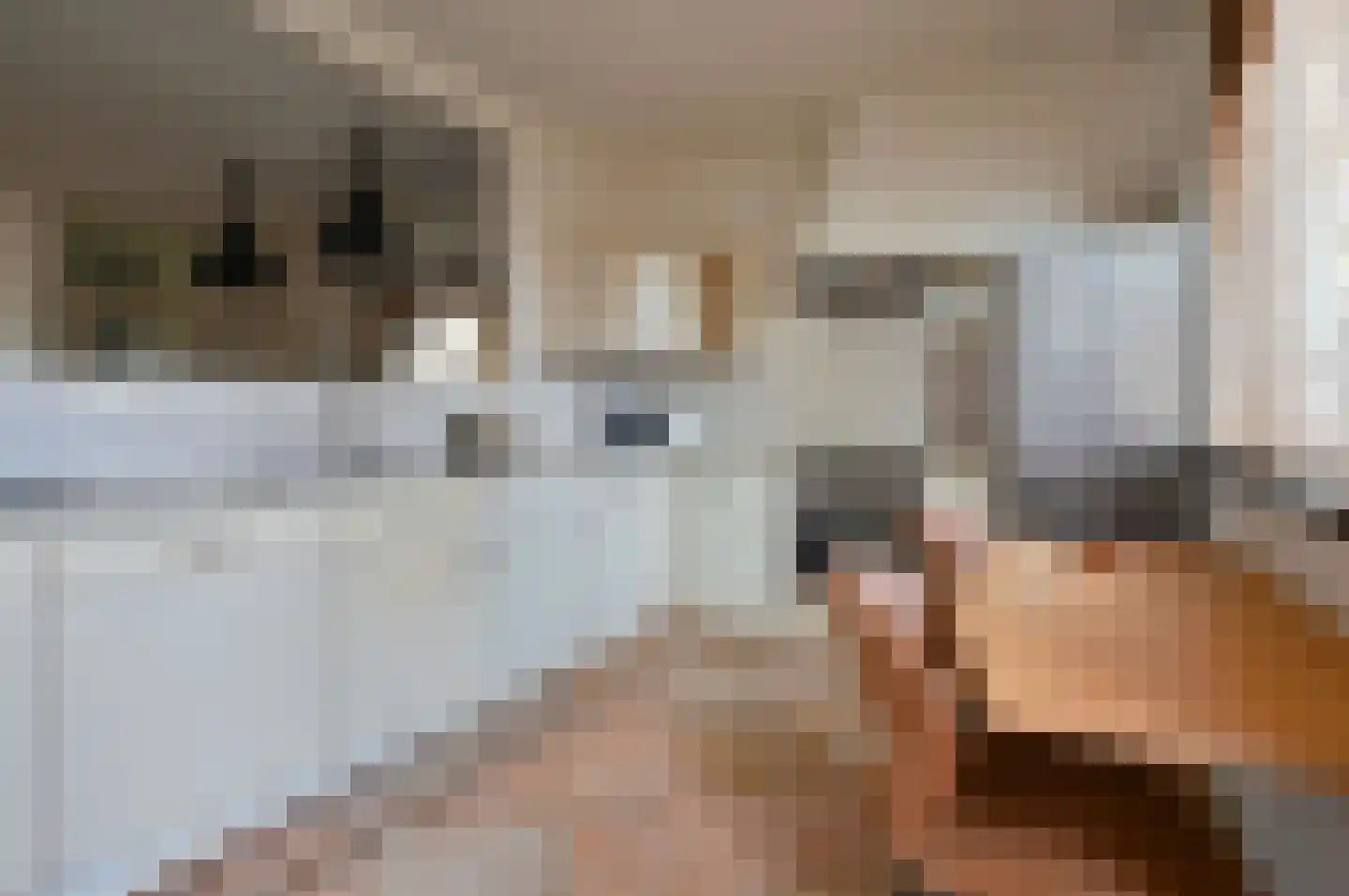 Marter 2 Huizen thumbnail 6