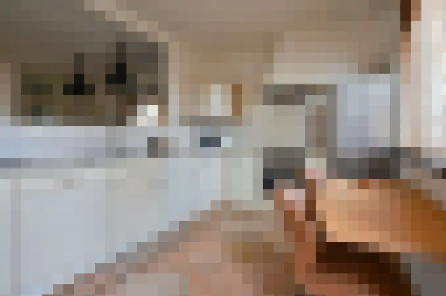 Marter 2 Huizen thumbnail 8