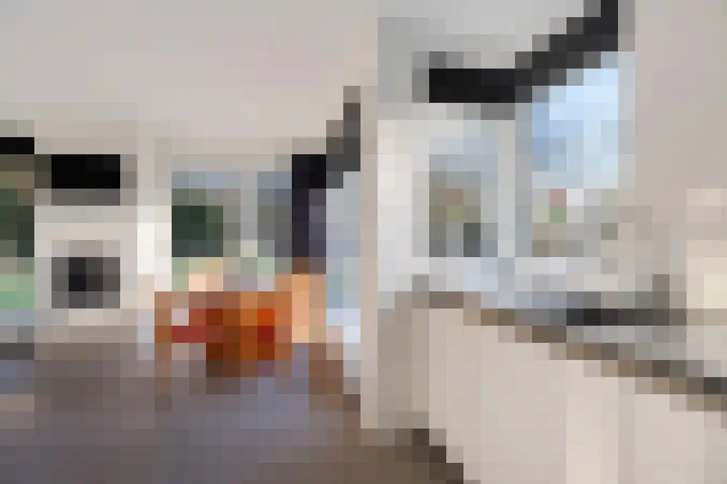 Marter 3 Koekange thumbnail 15
