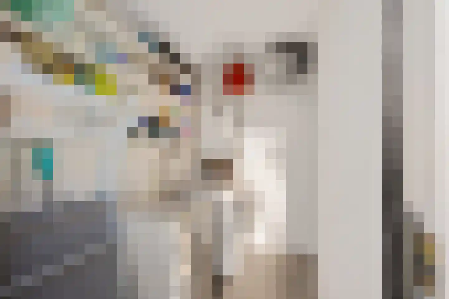 Marter 3 Koekange thumbnail 17