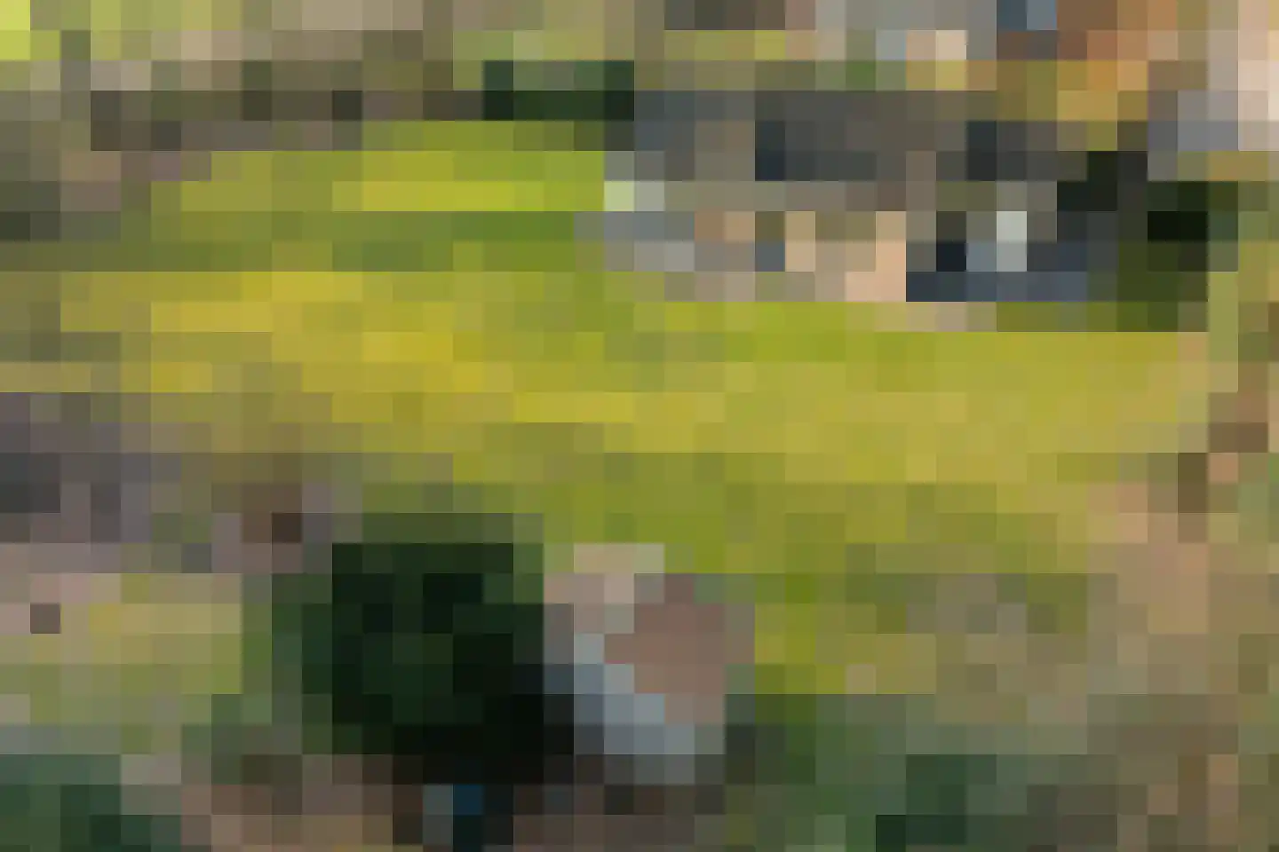 Marter 3 Koekange foto 2
