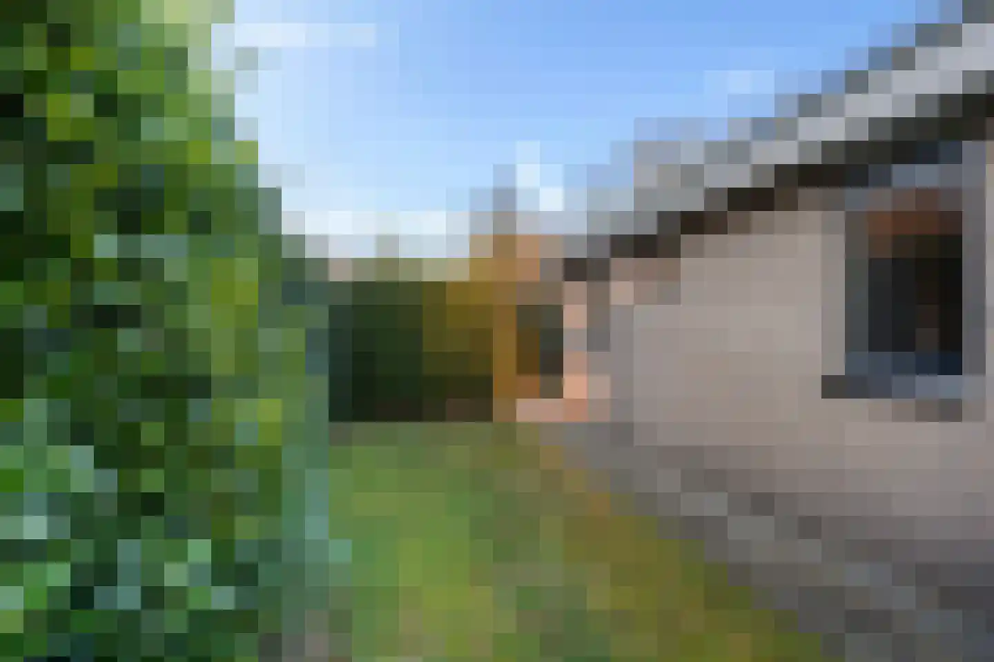 Marter 3 Koekange thumbnail 36