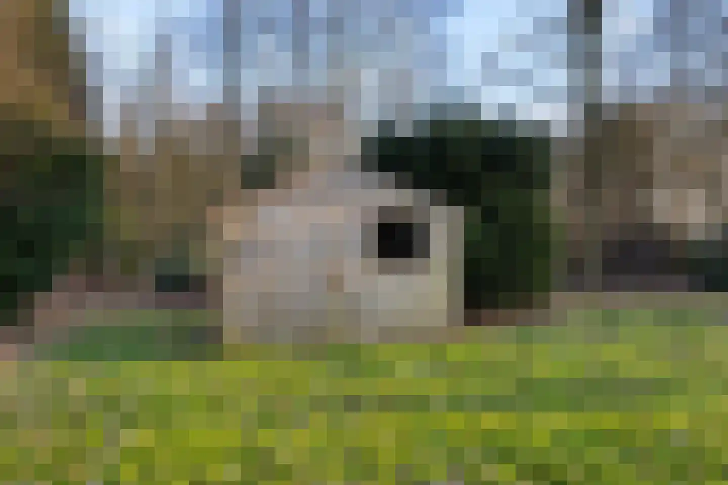 Marter 3 Koekange thumbnail 38