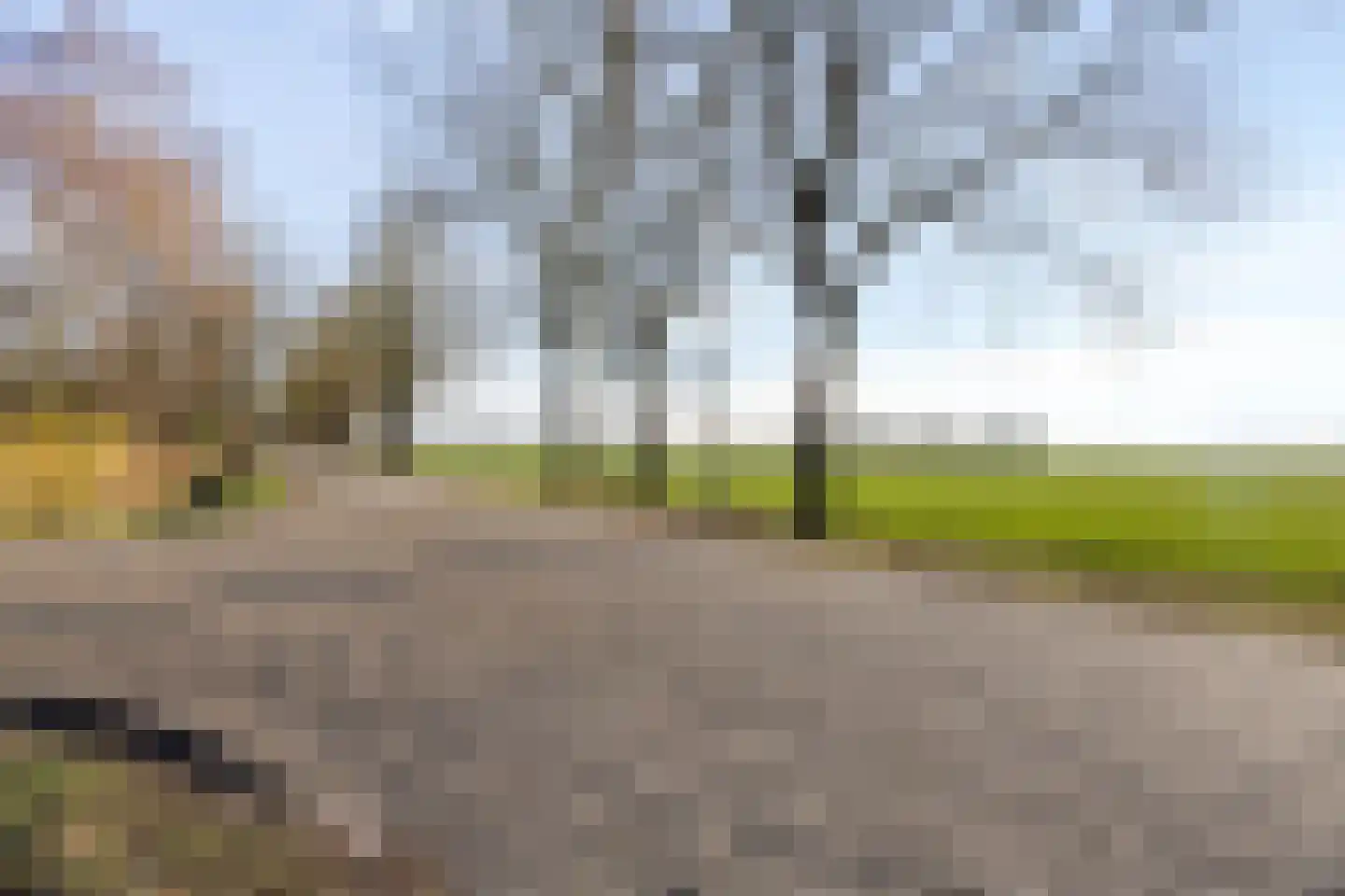 Marter 3 Koekange thumbnail 42