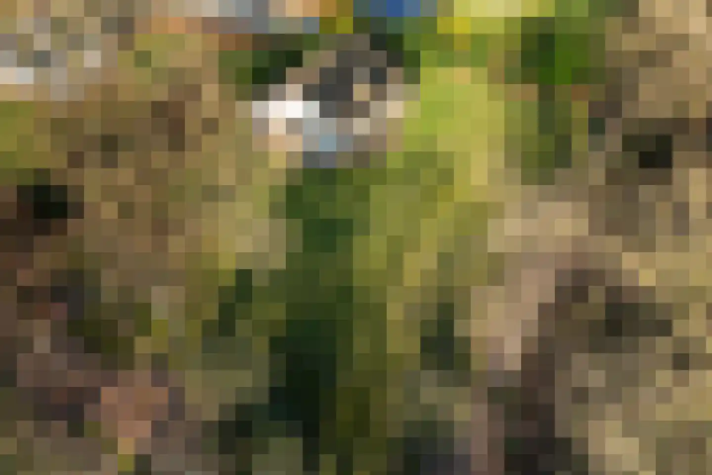 Marter 3 Koekange thumbnail 45