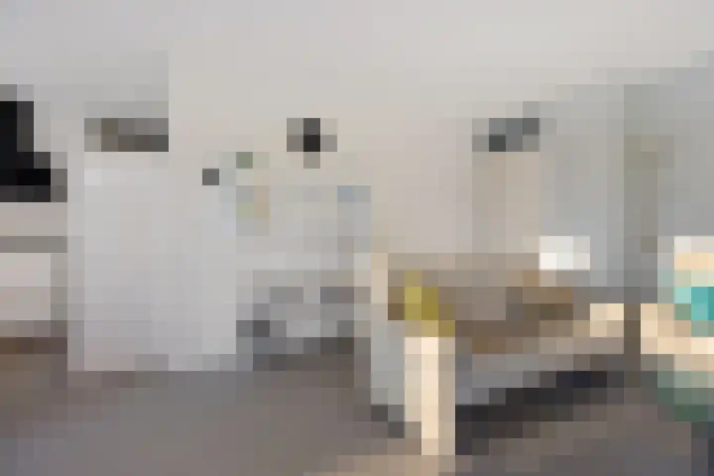 Marter 3 Koekange thumbnail 9