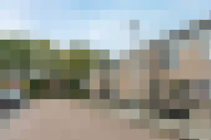 Marter 74 Veldhoven thumbnail 37