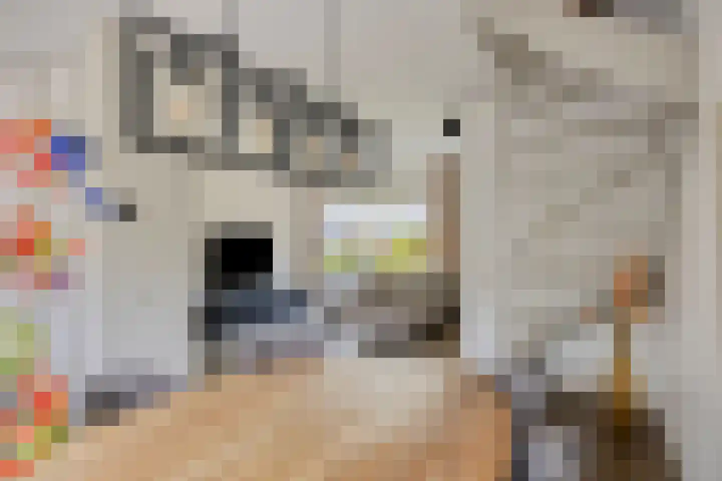 Marterdonk 4 Dongen thumbnail 15
