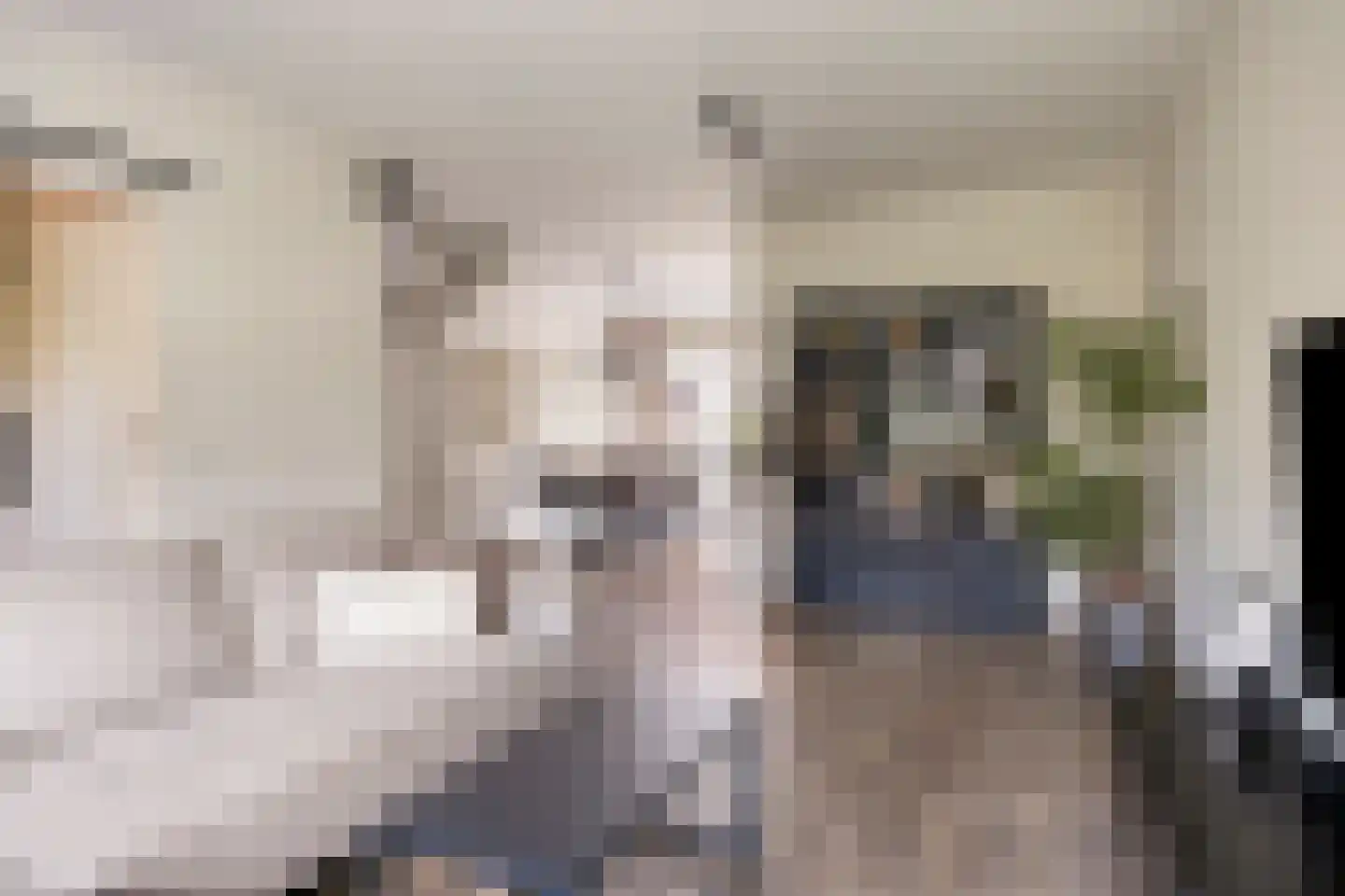Marterdonk 4 Dongen foto 3