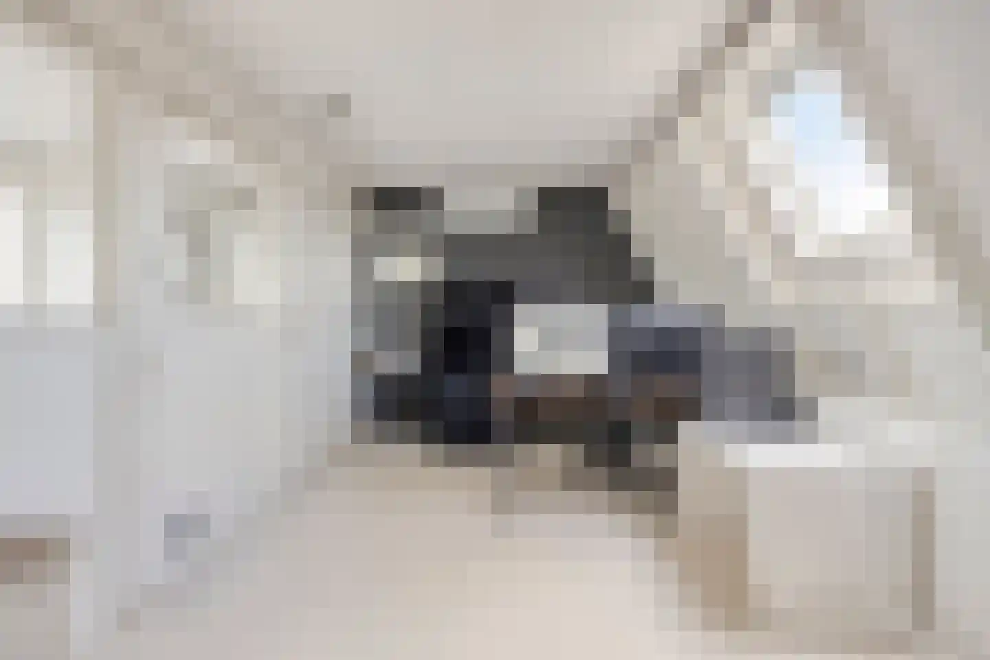 Marterdonk 4 Dongen thumbnail 34