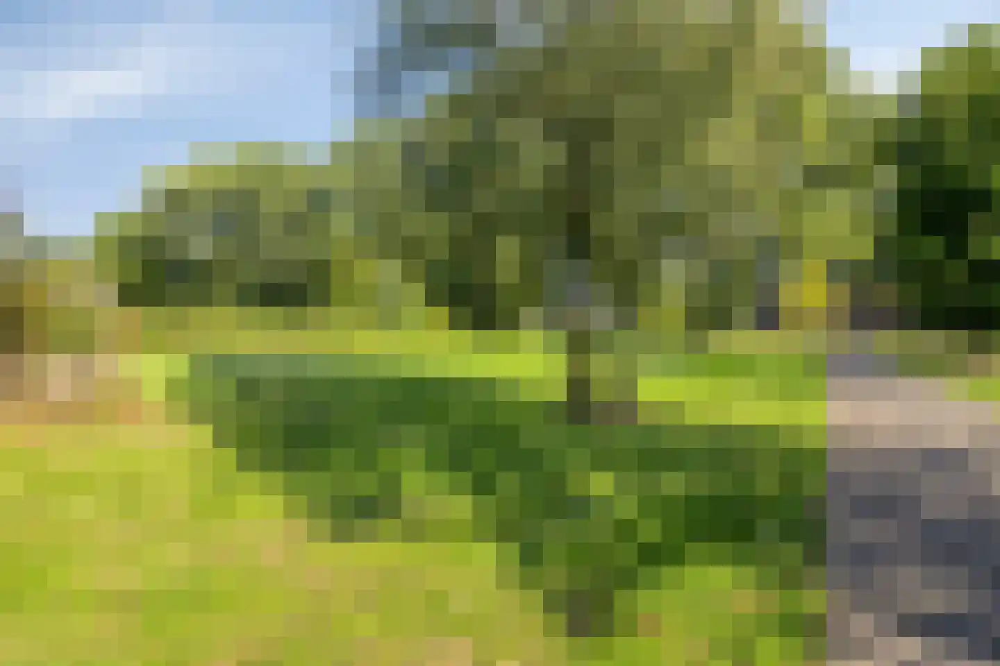 Marterdonk 4 Dongen thumbnail 41
