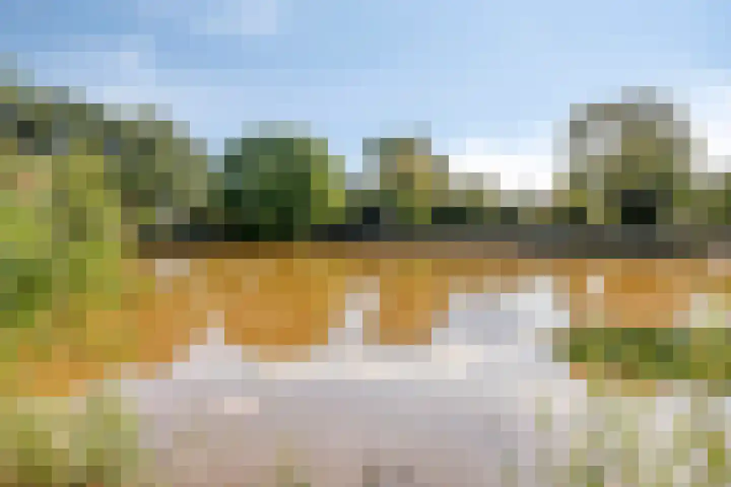 Marterdonk 4 Dongen thumbnail 42