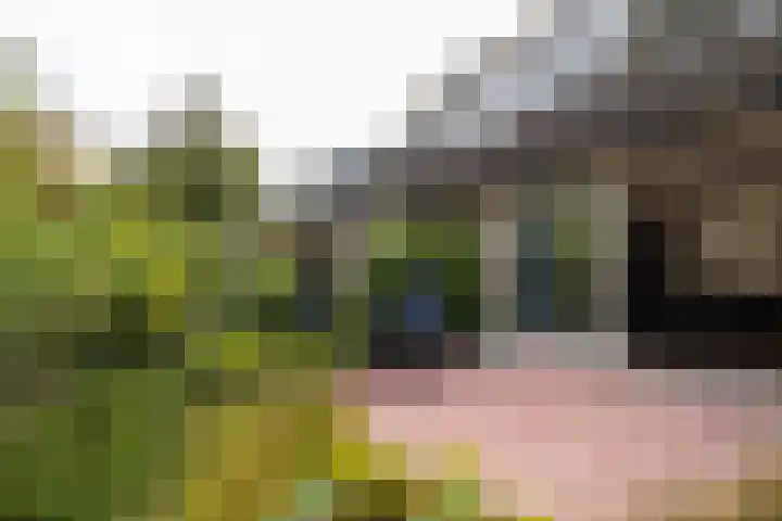 Marterhoeve 30 Leusden thumbnail 23