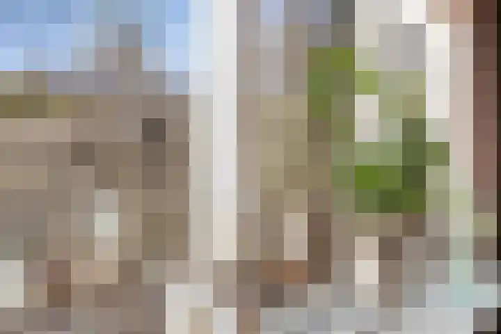 Marterhof 24 Silvolde thumbnail 15