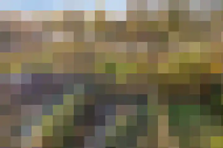 Marterhof 24 Silvolde thumbnail 32