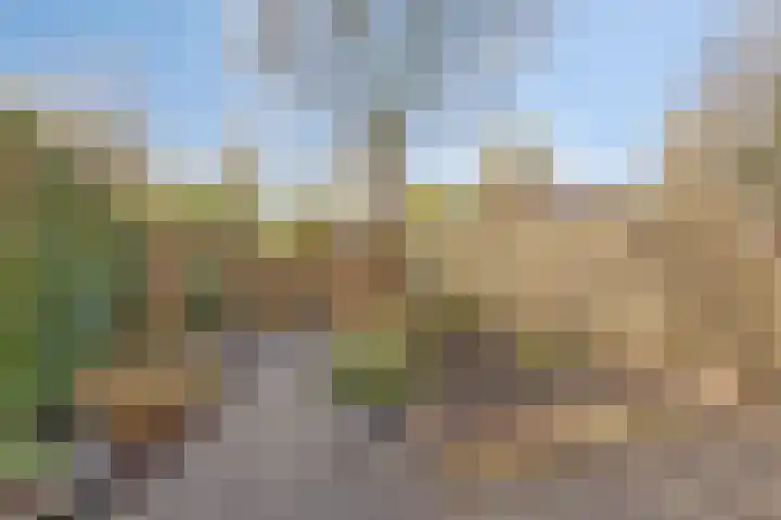 Marterhof 24 Silvolde thumbnail 33