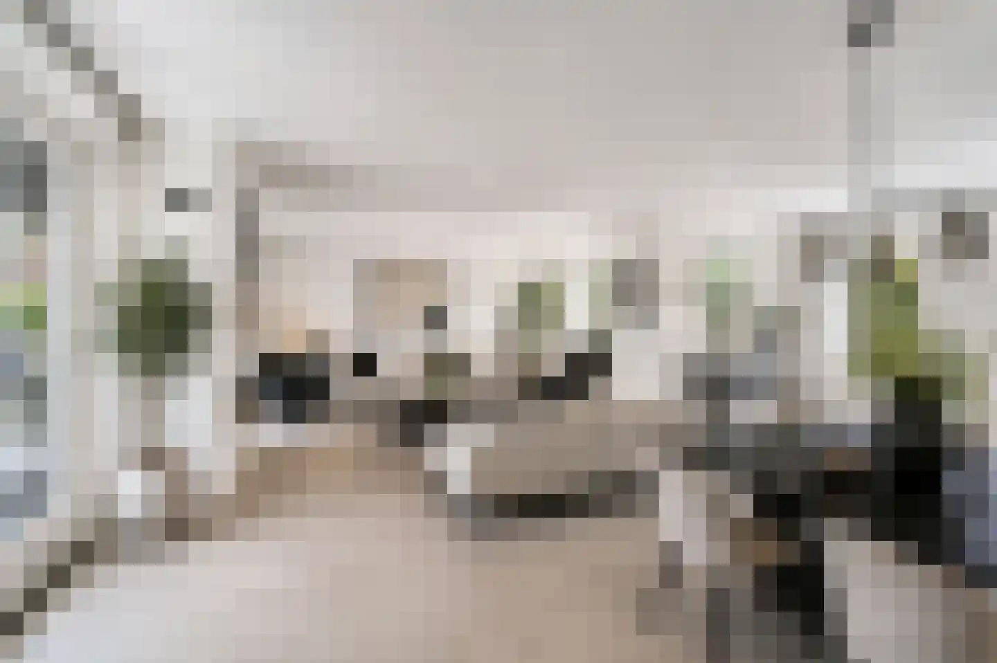 Marterhof 6 Berkel en Rodenrijs thumbnail 12