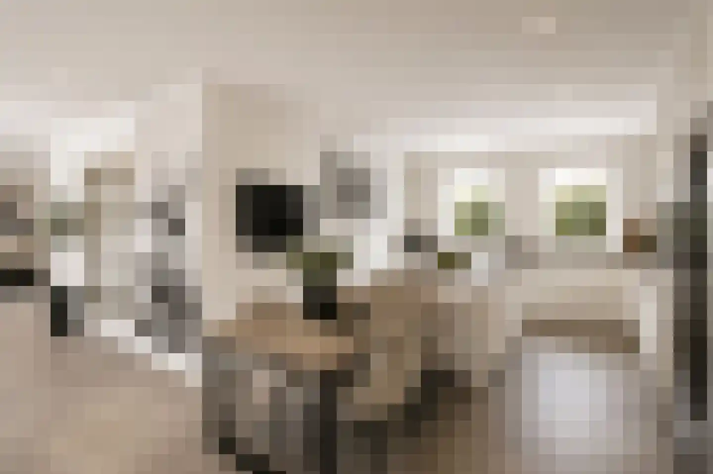 Marterhof 6 Berkel en Rodenrijs thumbnail 21