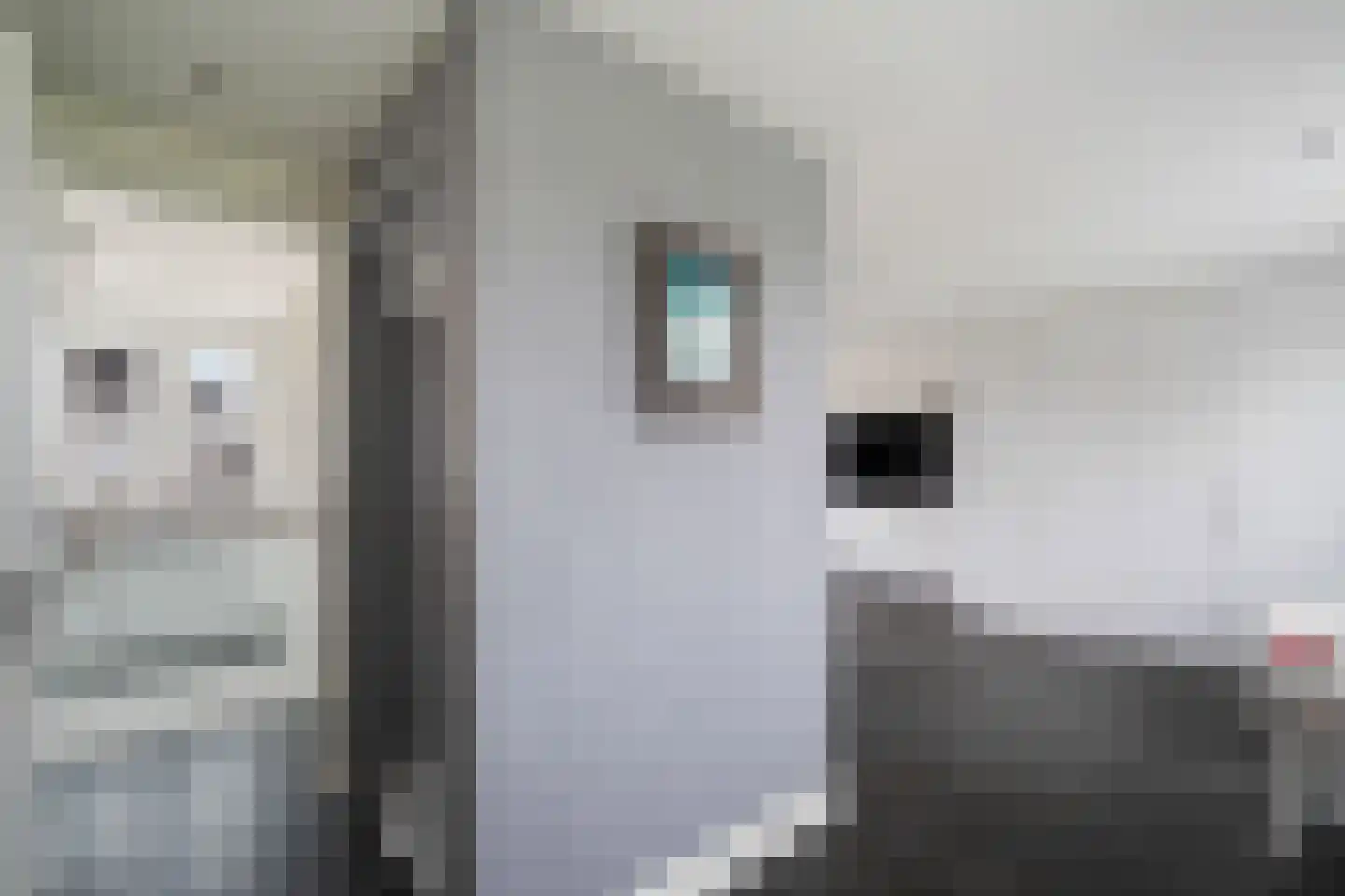 Marterhof 6 Berkel en Rodenrijs thumbnail 27