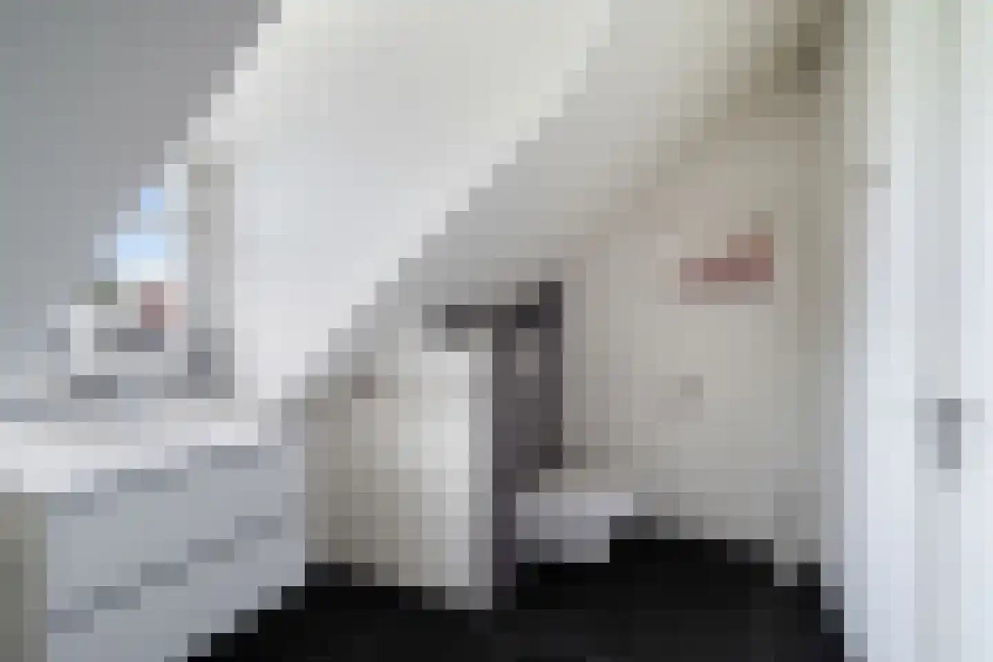 Marterhof 6 Berkel en Rodenrijs thumbnail 46
