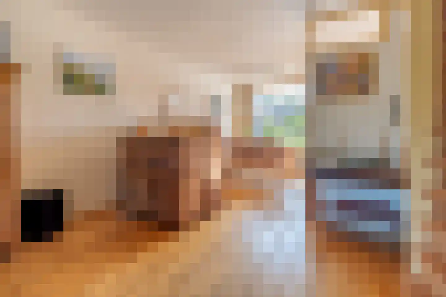 Marterkamp 17 Driebergen-Rijsenburg thumbnail 8