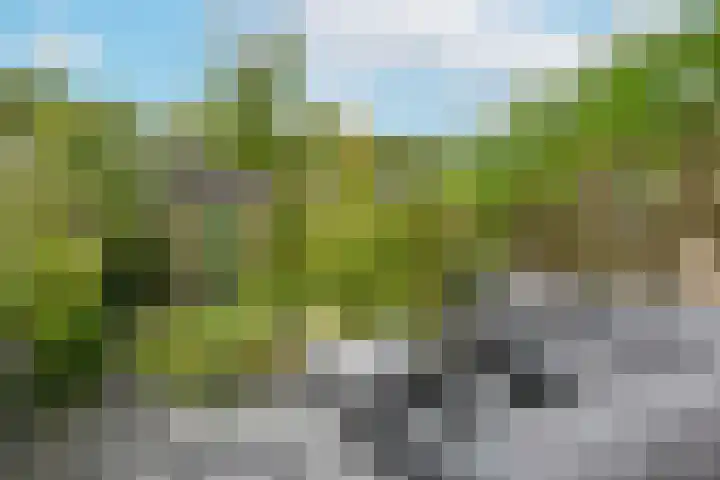 Marterkamp 31 Driebergen-Rijsenburg thumbnail 32
