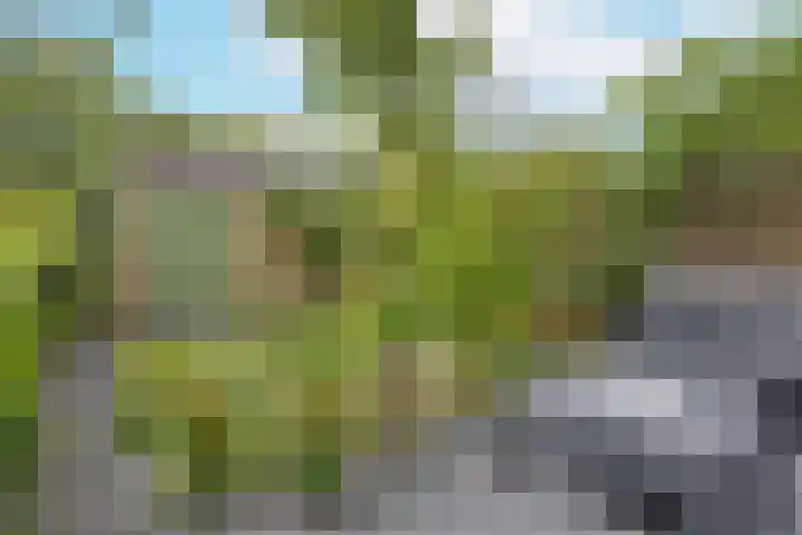 Marterkamp 31 Driebergen-Rijsenburg thumbnail 33