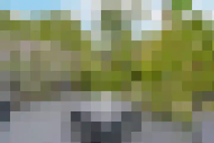 Marterkamp 31 Driebergen-Rijsenburg thumbnail 34