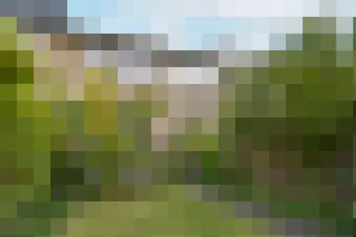 Marterkamp 31 Driebergen-Rijsenburg thumbnail 35