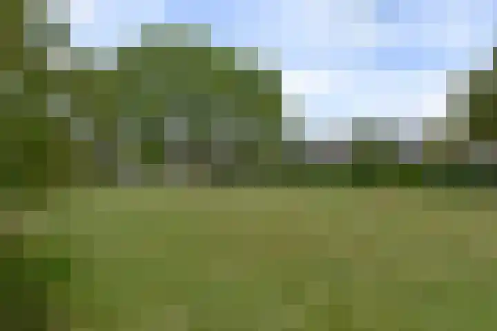 Marterkamp 31 Driebergen-Rijsenburg thumbnail 38