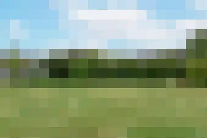 Marterkamp 31 Driebergen-Rijsenburg thumbnail 39