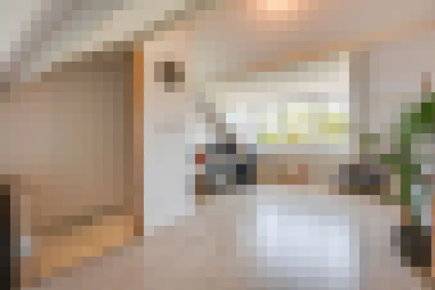 Marterkamp 45 Driebergen-Rijsenburg thumbnail 26