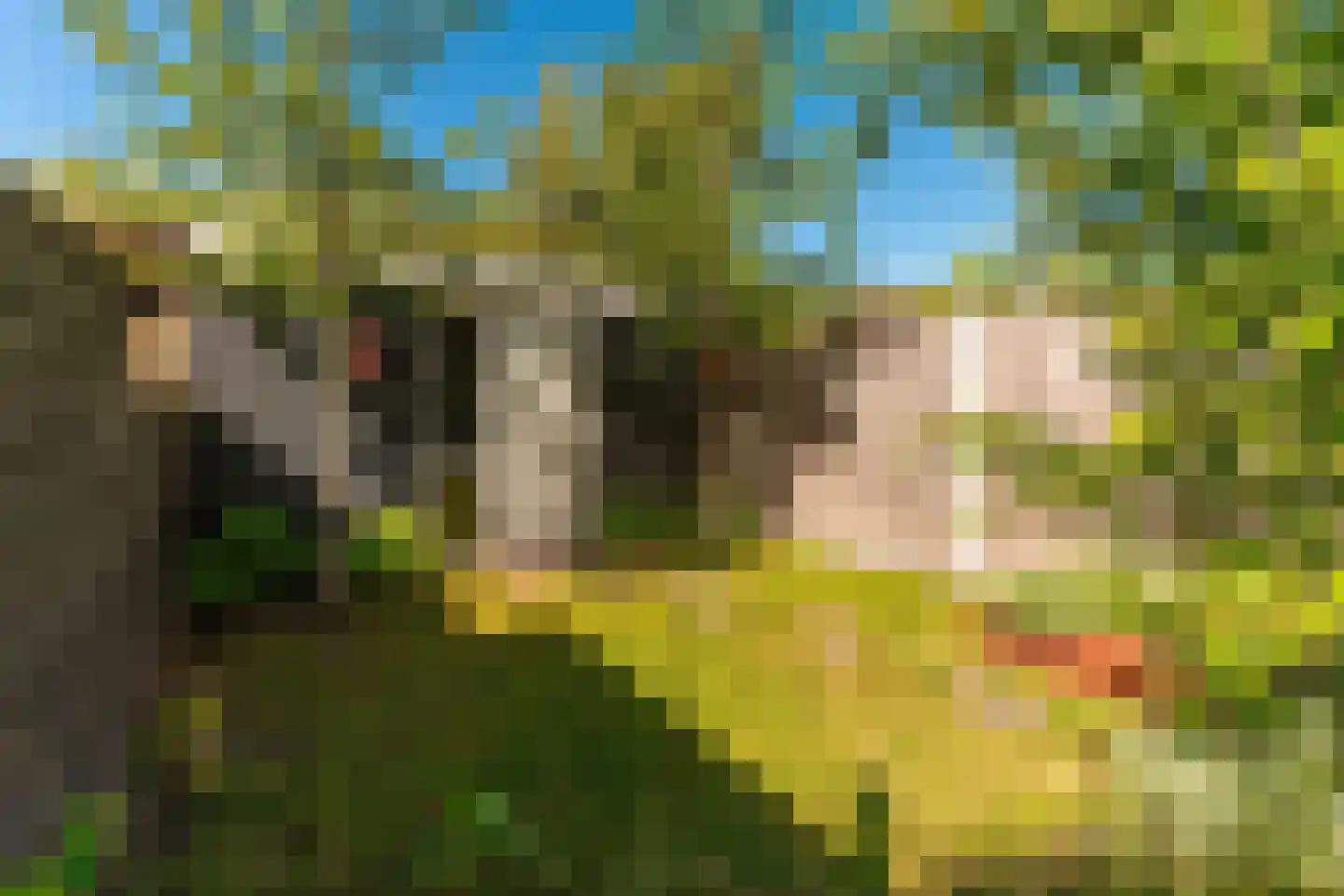Marterkamp 45 Driebergen-Rijsenburg thumbnail 30