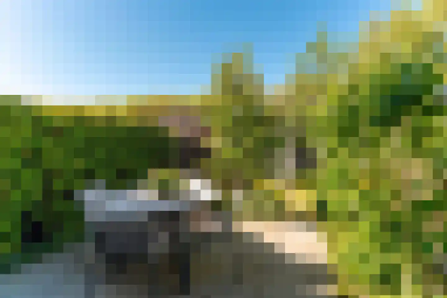Marterkamp 45 Driebergen-Rijsenburg thumbnail 31