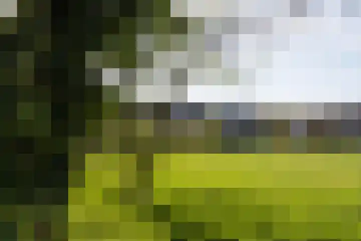 Marterkamp 5 Driebergen-Rijsenburg thumbnail 26