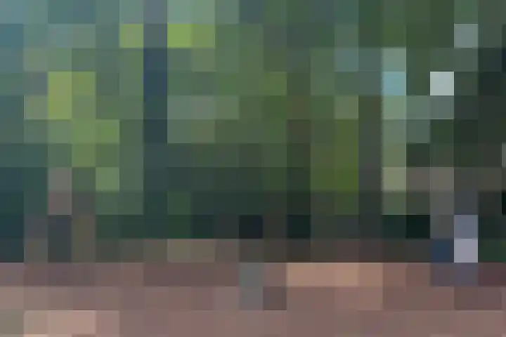 Marterlaan 1 Den Dolder thumbnail 38