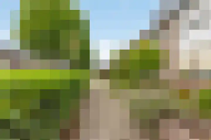 Marterlaan 10 Waalre thumbnail 26